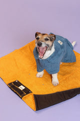 Waterproof Dog Settle Mats - Mint