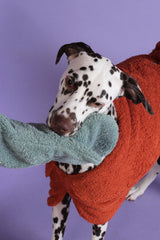Dog Drying Mitts - Rust