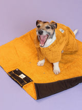 Waterproof Dog Settle Mats - Blue