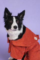 Dog Drying Coat - Rust