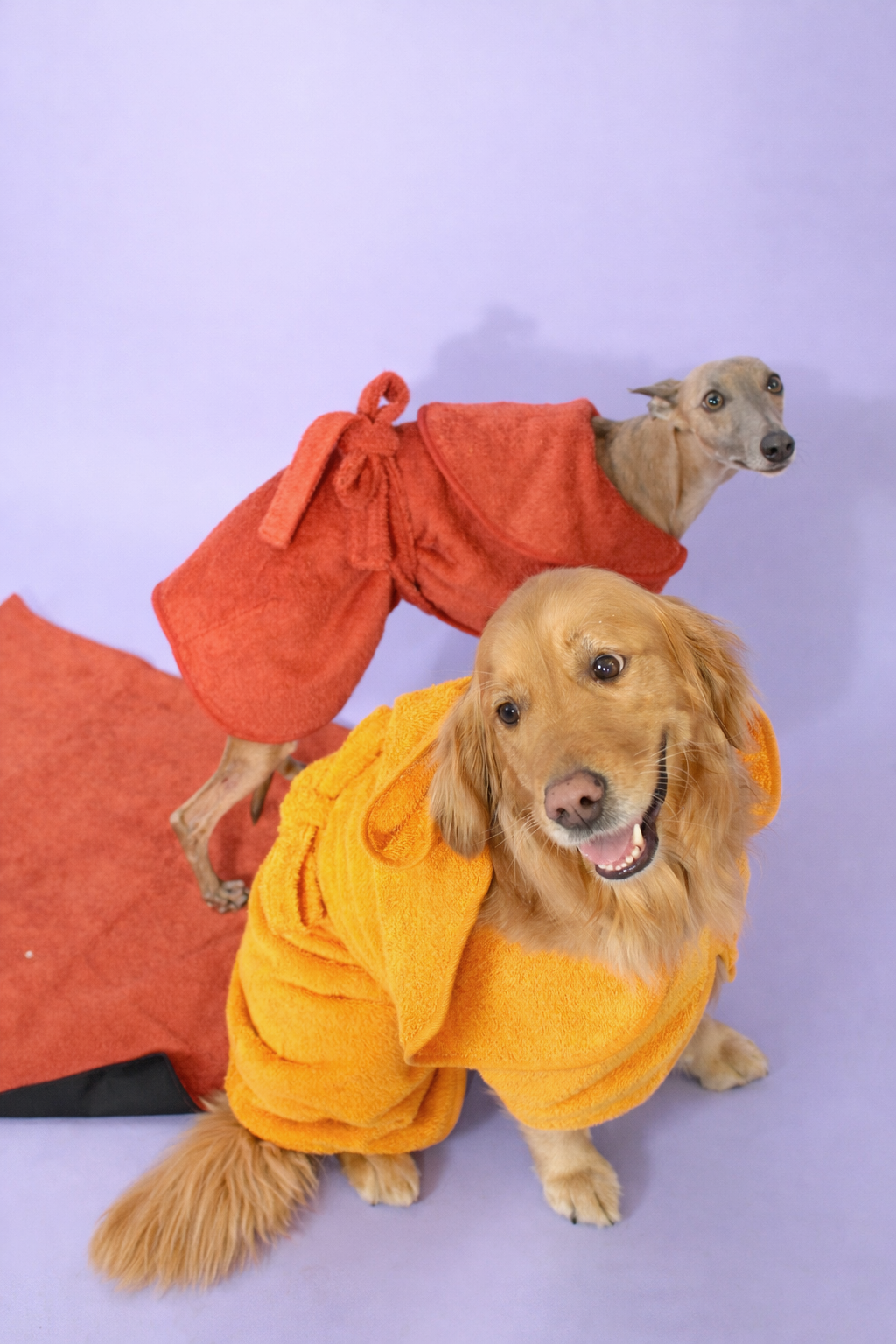 Velco-free Dog Drying Coat