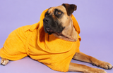 Velco-free Dog Drying Coat