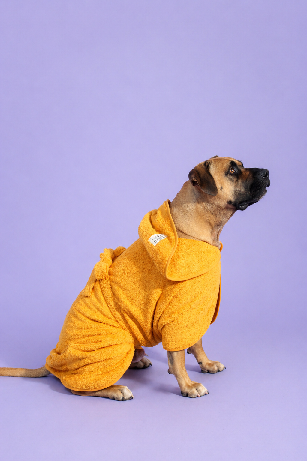 Velco-free Dog Drying Coat