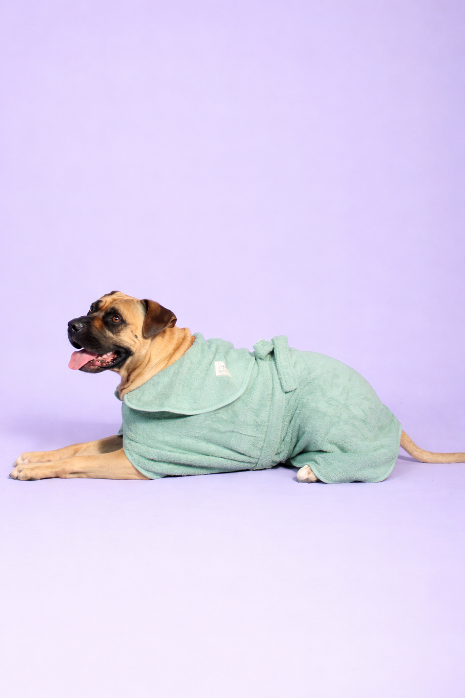 Dog Drying Robe