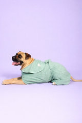 Dog Drying Robe
