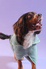 Dog Drying Coat - Mint