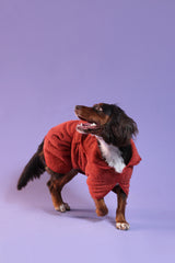 Dog Drying Coat - Rust