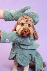 All in One Wet Dog Bundle Deal