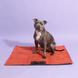 Waterproof Roll-up Travel Towel