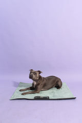 Waterproof Roll-up Travel Towel