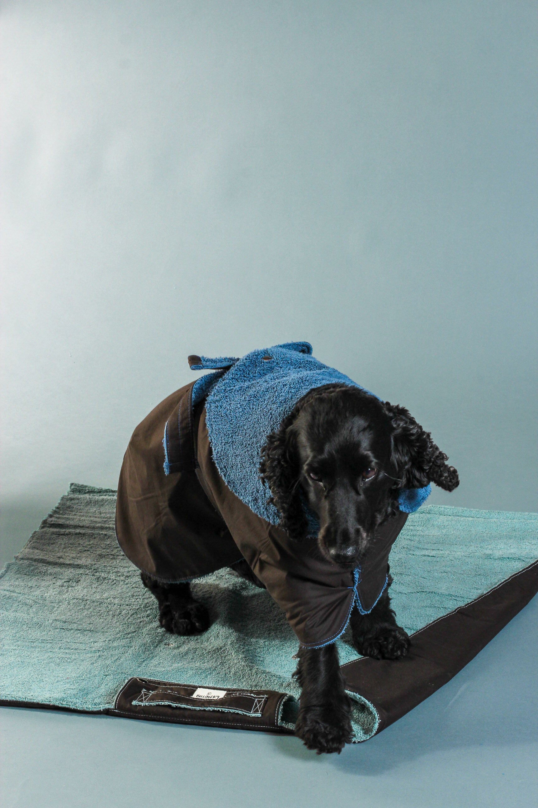 Waterproof Dog Settle Mats - Mint