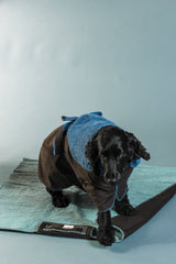 Waterproof Dog Settle Mats - Mint