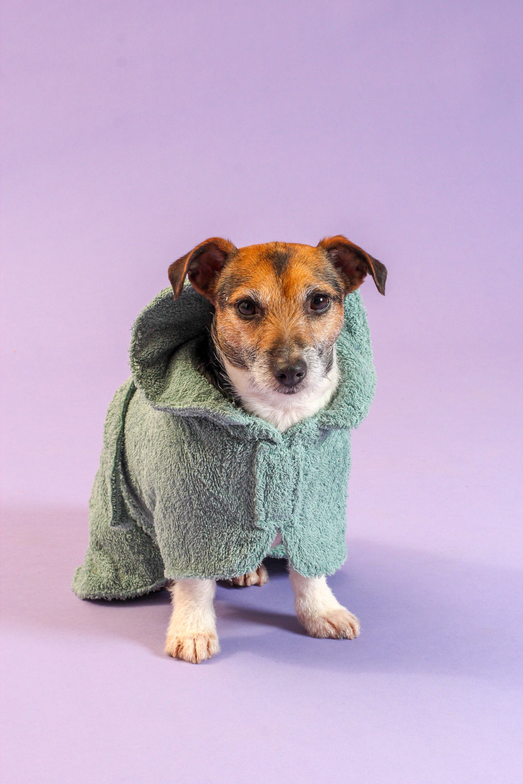 Dog Drying Coat - Yellow