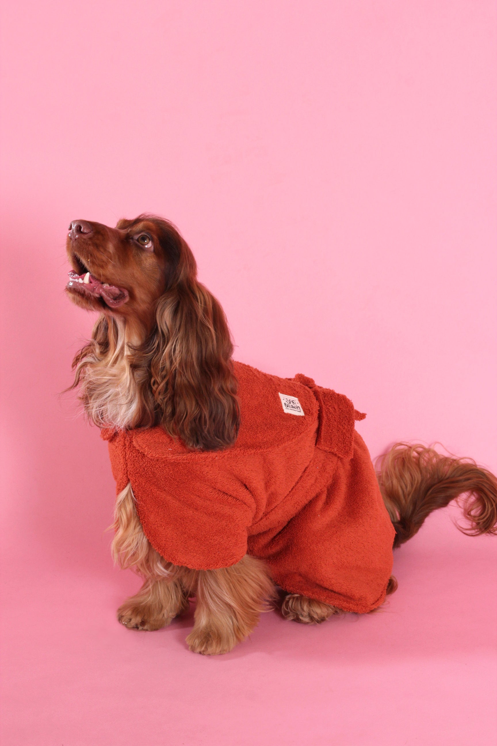Dog Drying Coat - Yellow