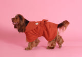 Dog Drying Coat - Rust