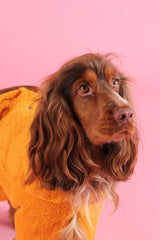 Dog Drying Coat - Yellow