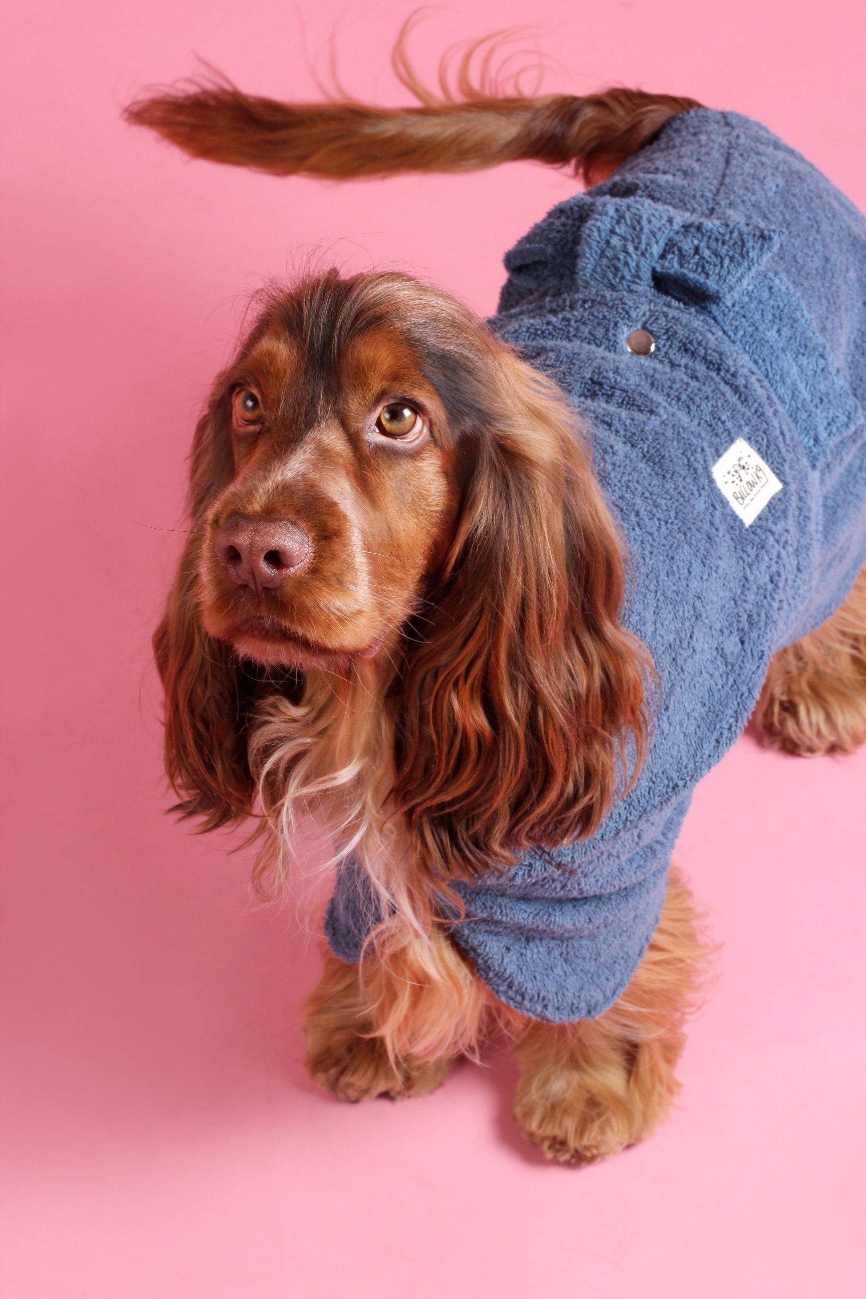 Dog Drying Coat - Blue