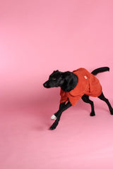 Dog Drying Coat - Rust
