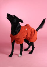 Dog Drying Coat - Rust