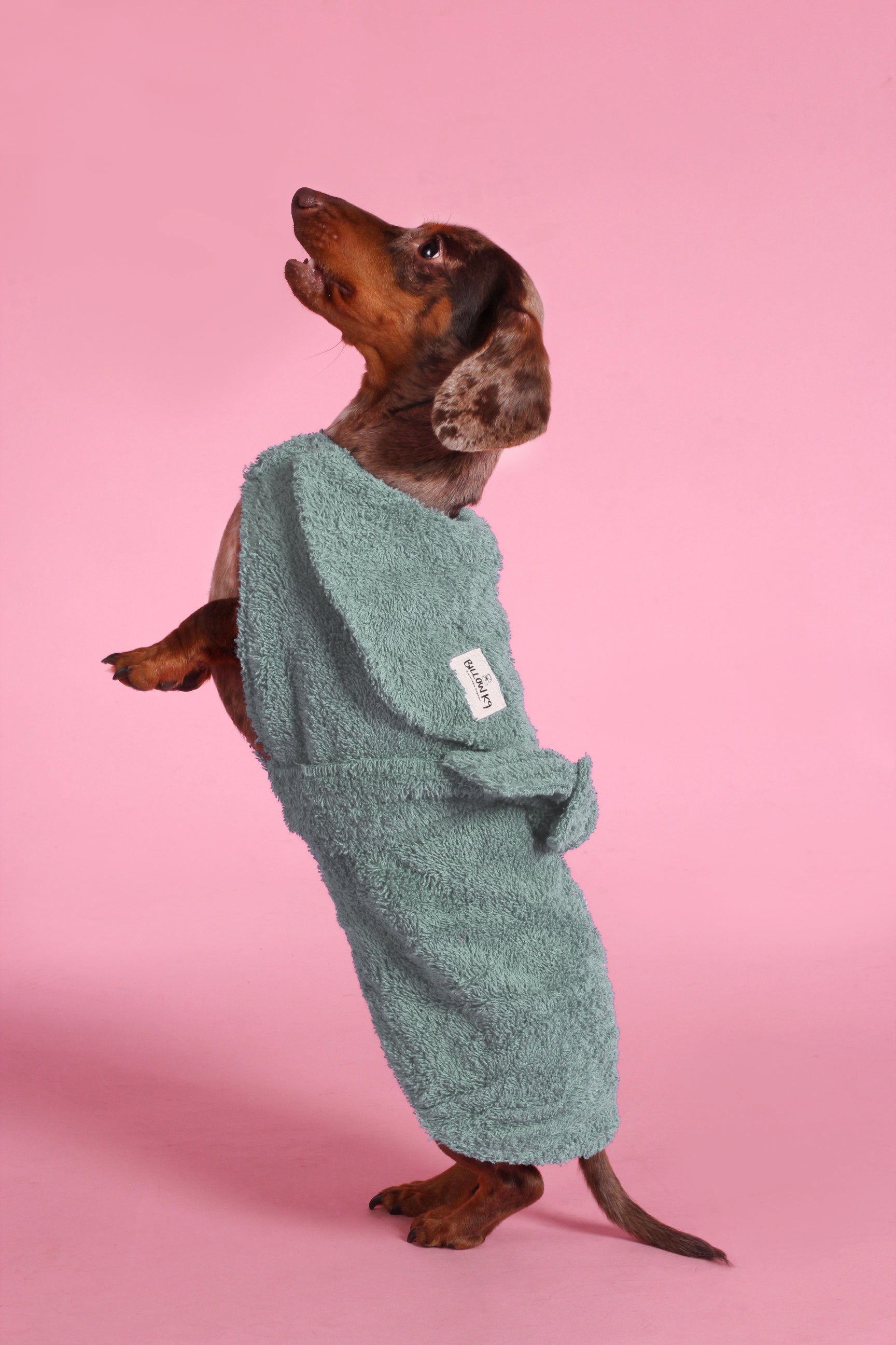 Dog Drying Coat - Yellow