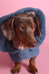 Dog Drying Coat - Yellow