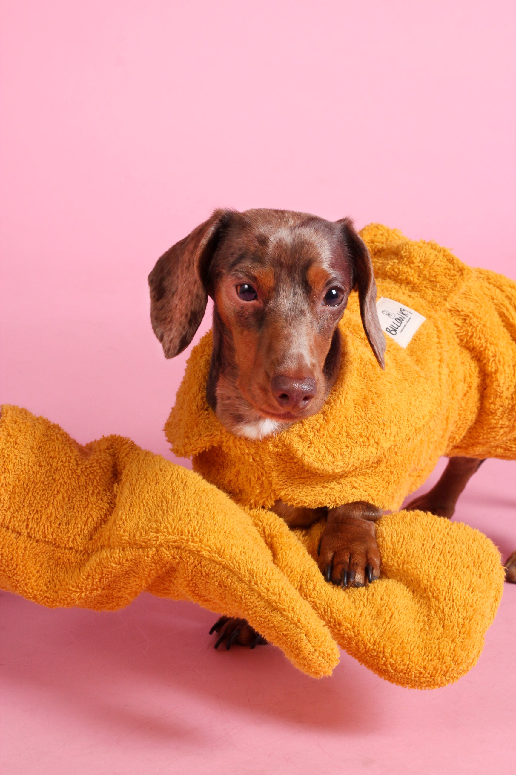 Dog Drying Coat - Yellow