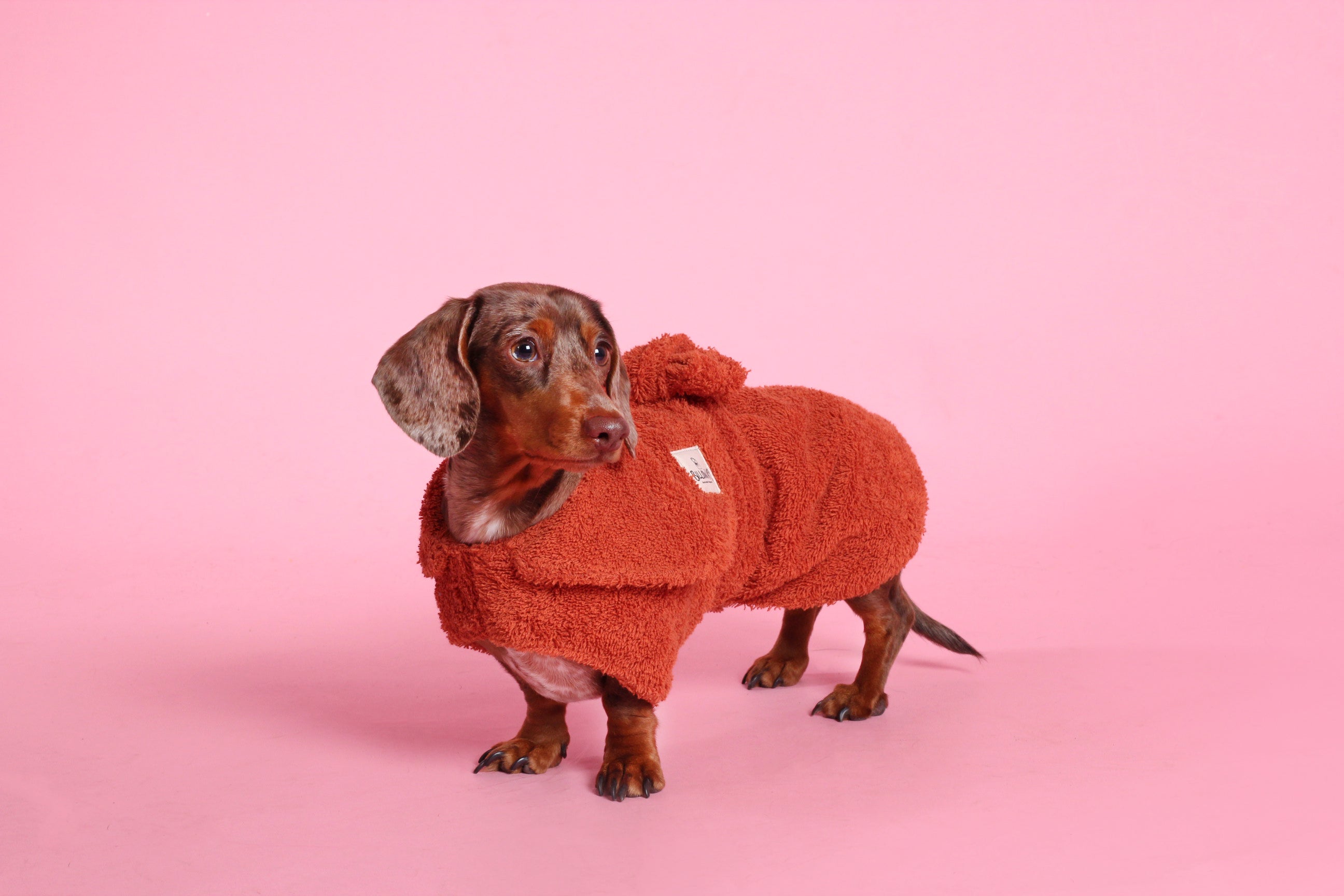 Dog Drying Coat - Yellow