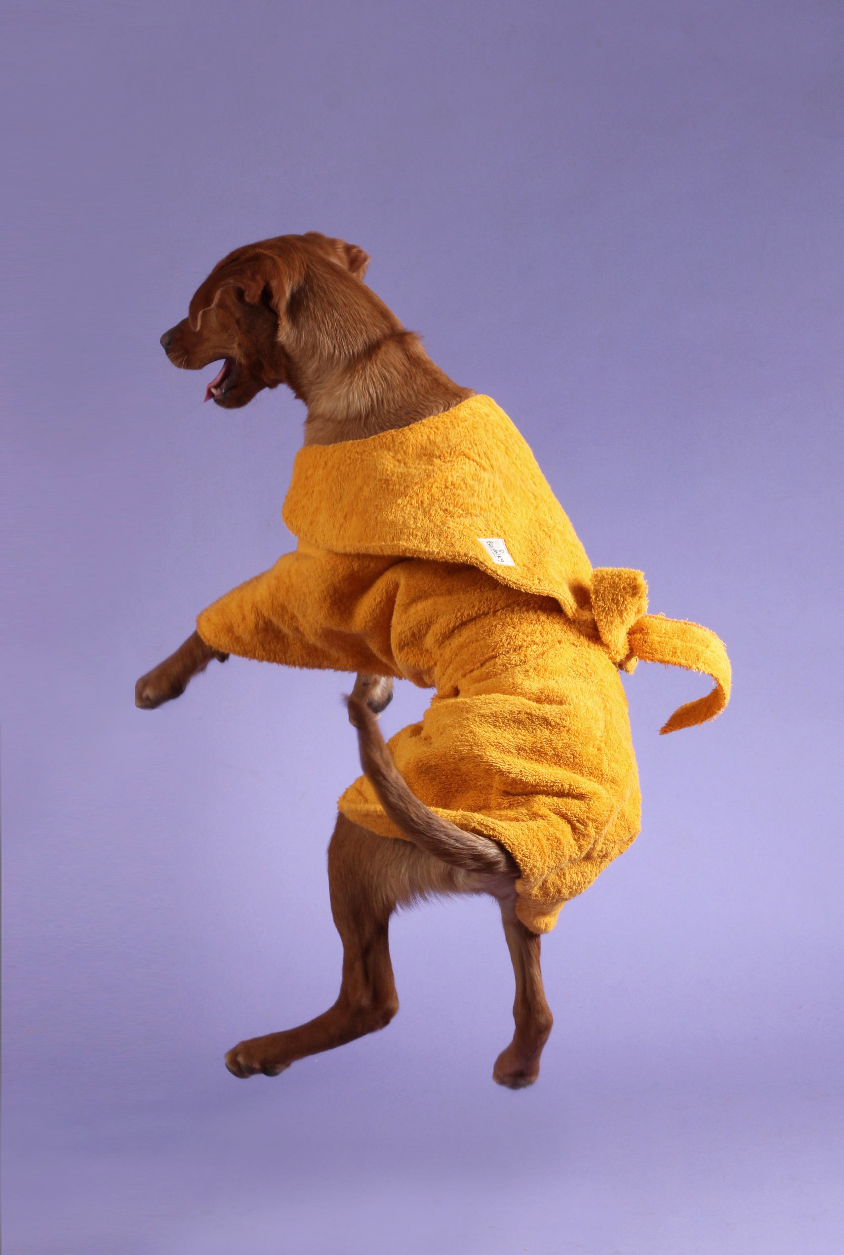 Dog Drying Coat - Yellow
