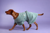 Dog Drying Coat - Mint