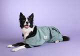 Dog Drying Coat - Mint