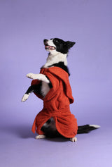 Dog Drying Coat - Rust