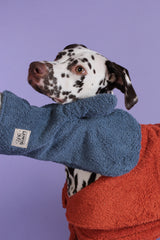 Dog Drying Mitts - Rust