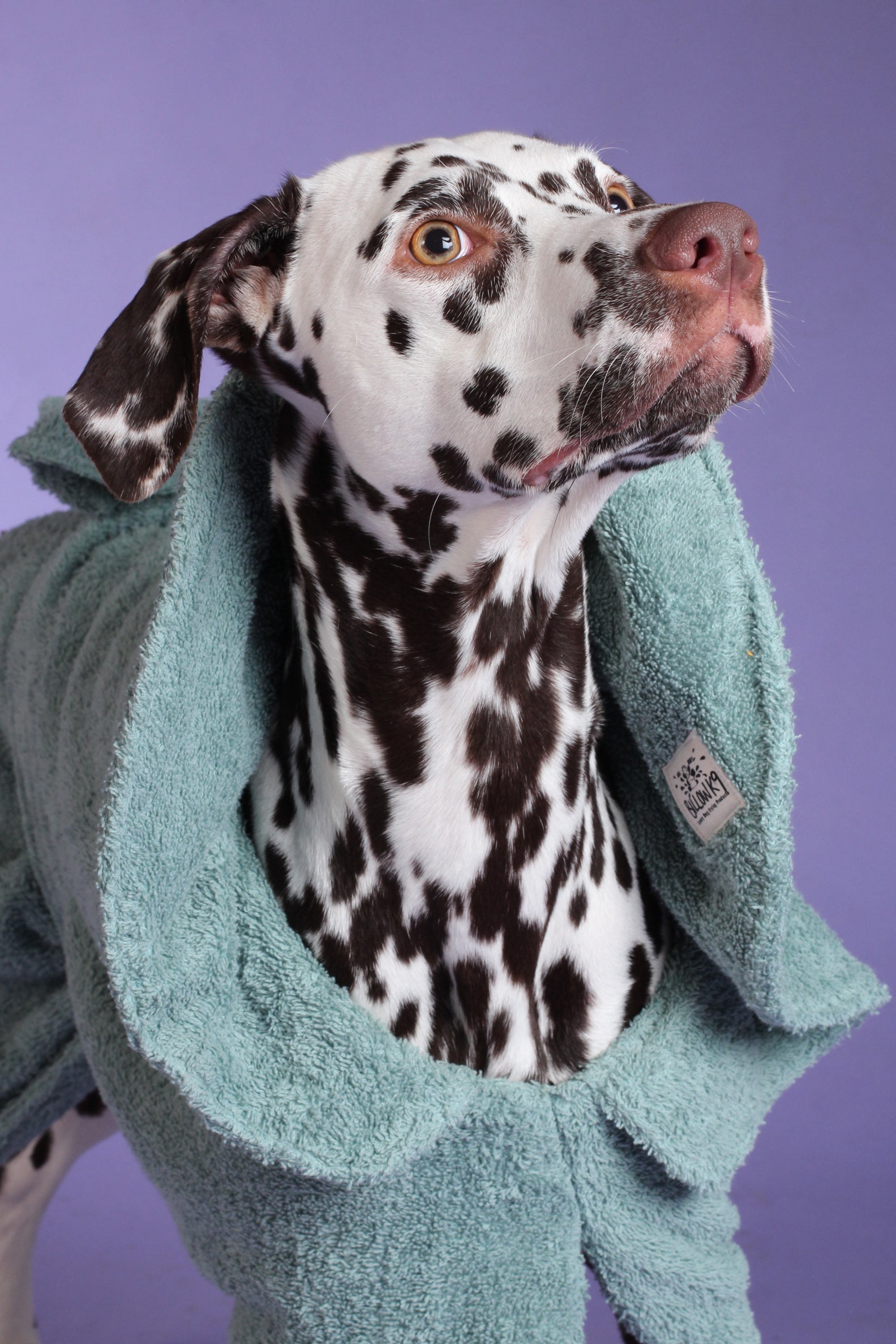 Dog Drying Coat - Mint