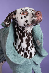 Dog Drying Coat - Mint