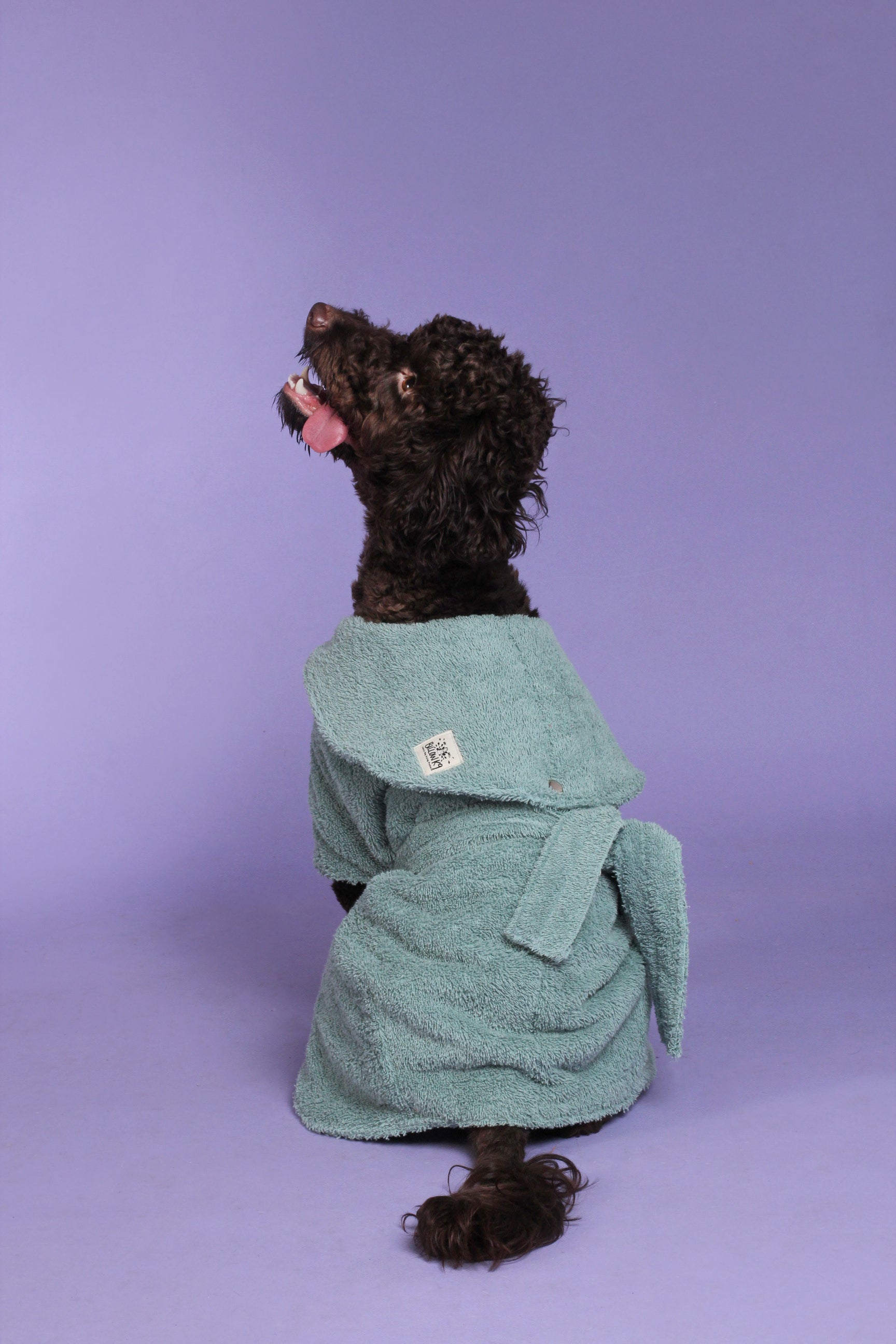 Dog Drying Coat - Mint