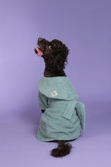 Dog Drying Coat - Mint