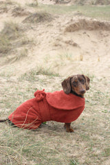 Drying Coat - Dachshund Standard