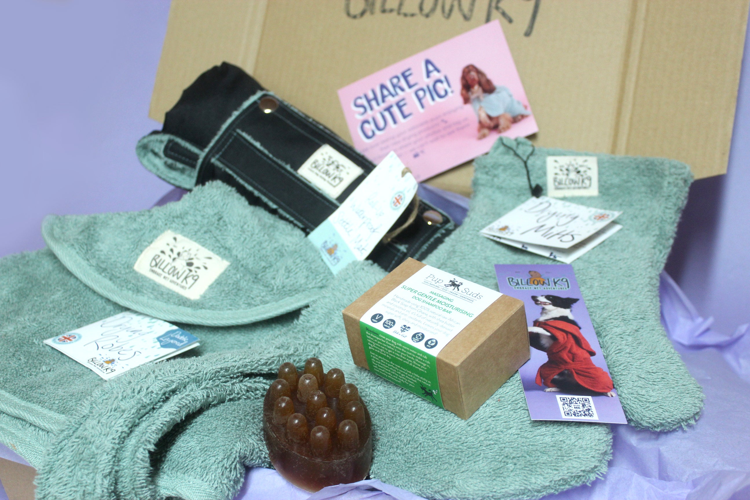 The All-In-One Dog Drying & Grooming Gift Set