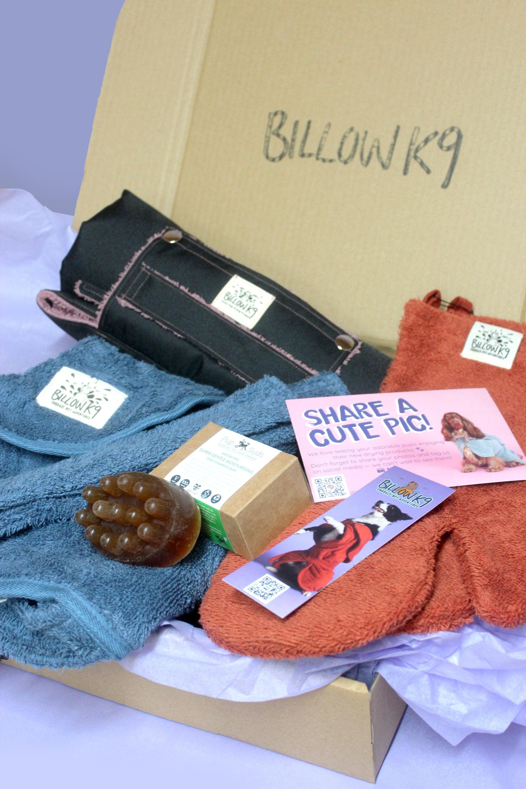 The All-In-One Dog Drying & Grooming Gift Set