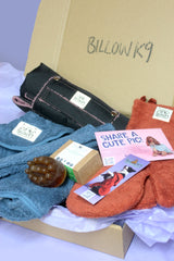 The All-In-One Dog Drying & Grooming Gift Set