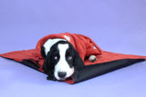 All in One Wet Dog Bundle Deal