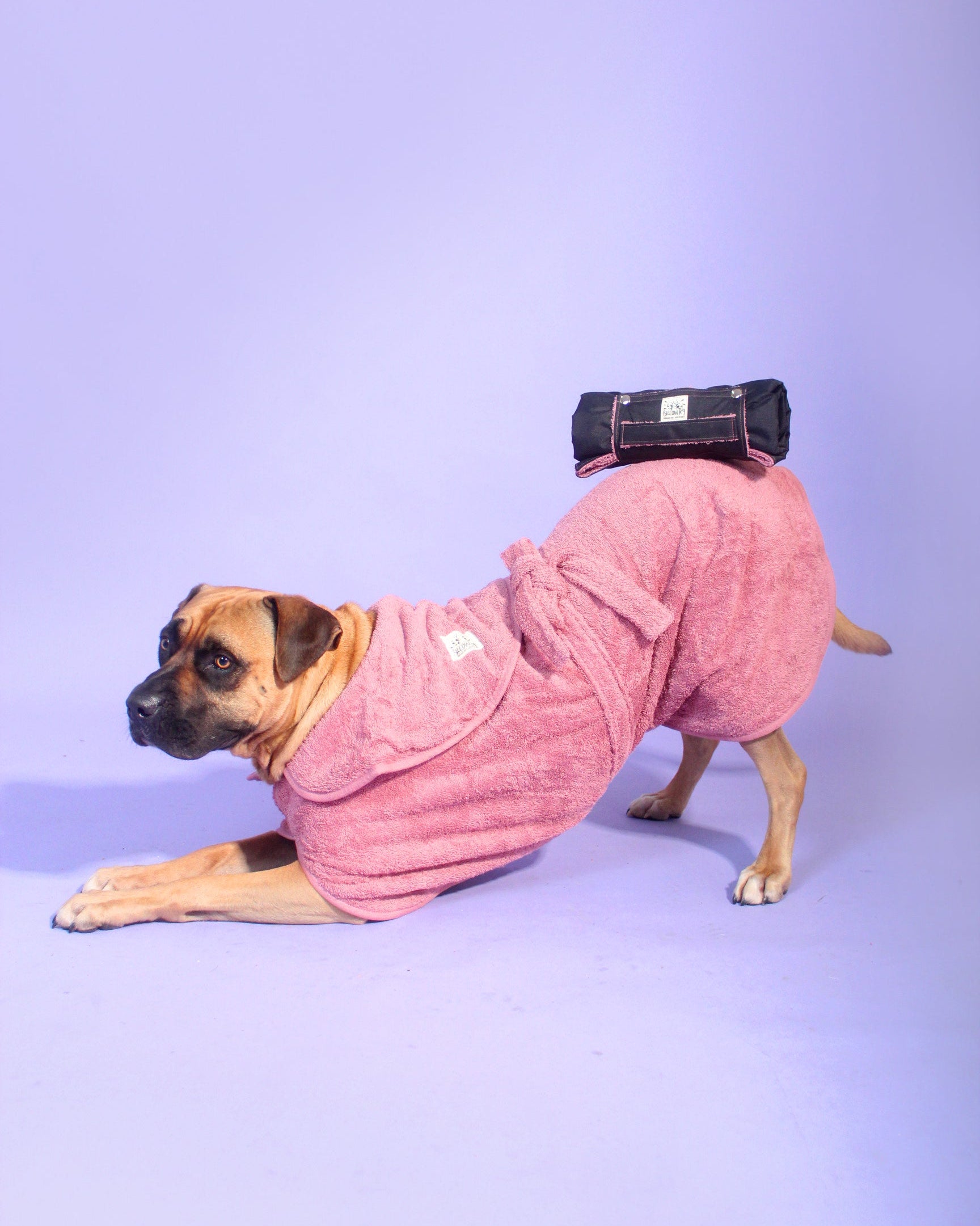 Dog Drying Robe