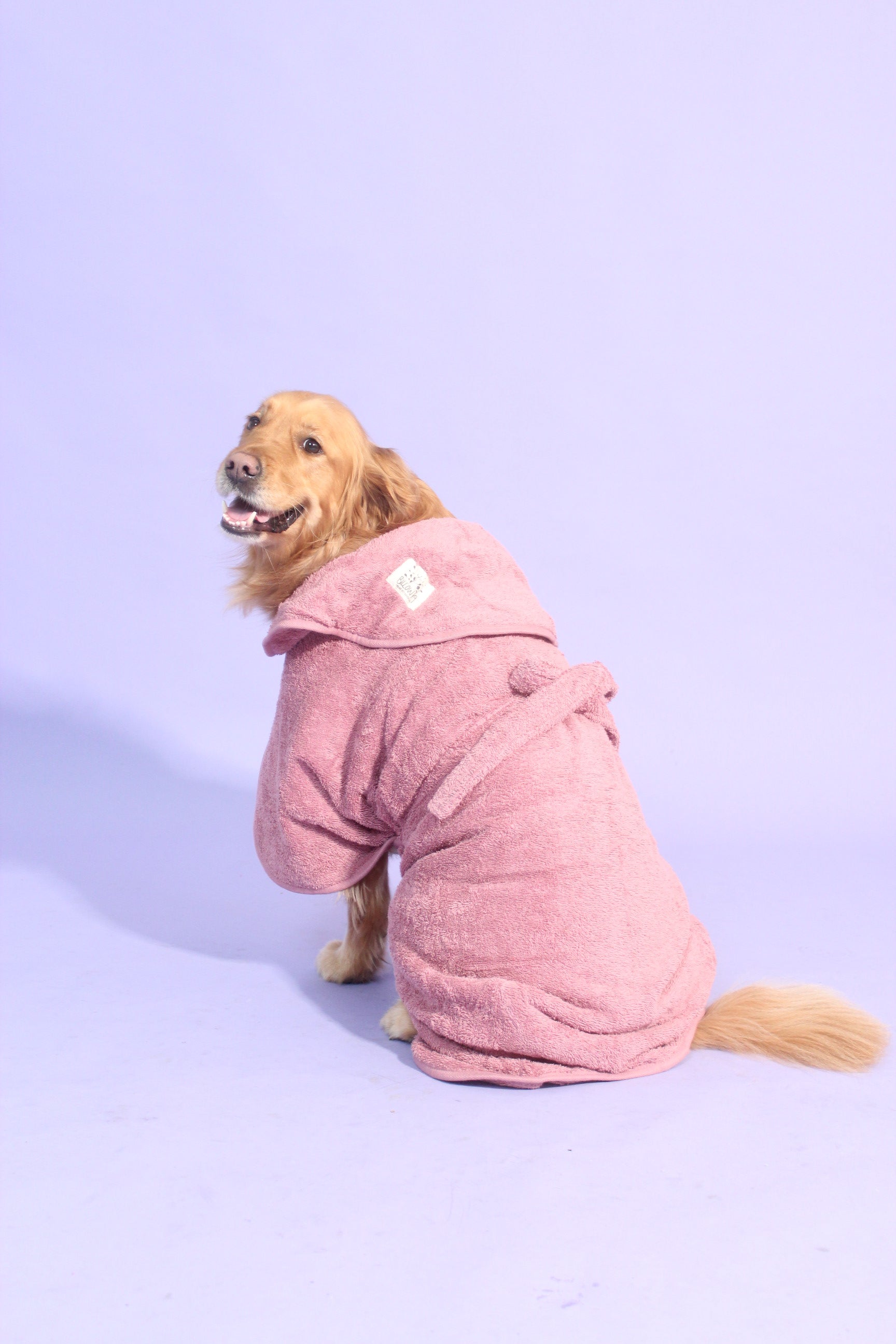 Dog Drying Robe