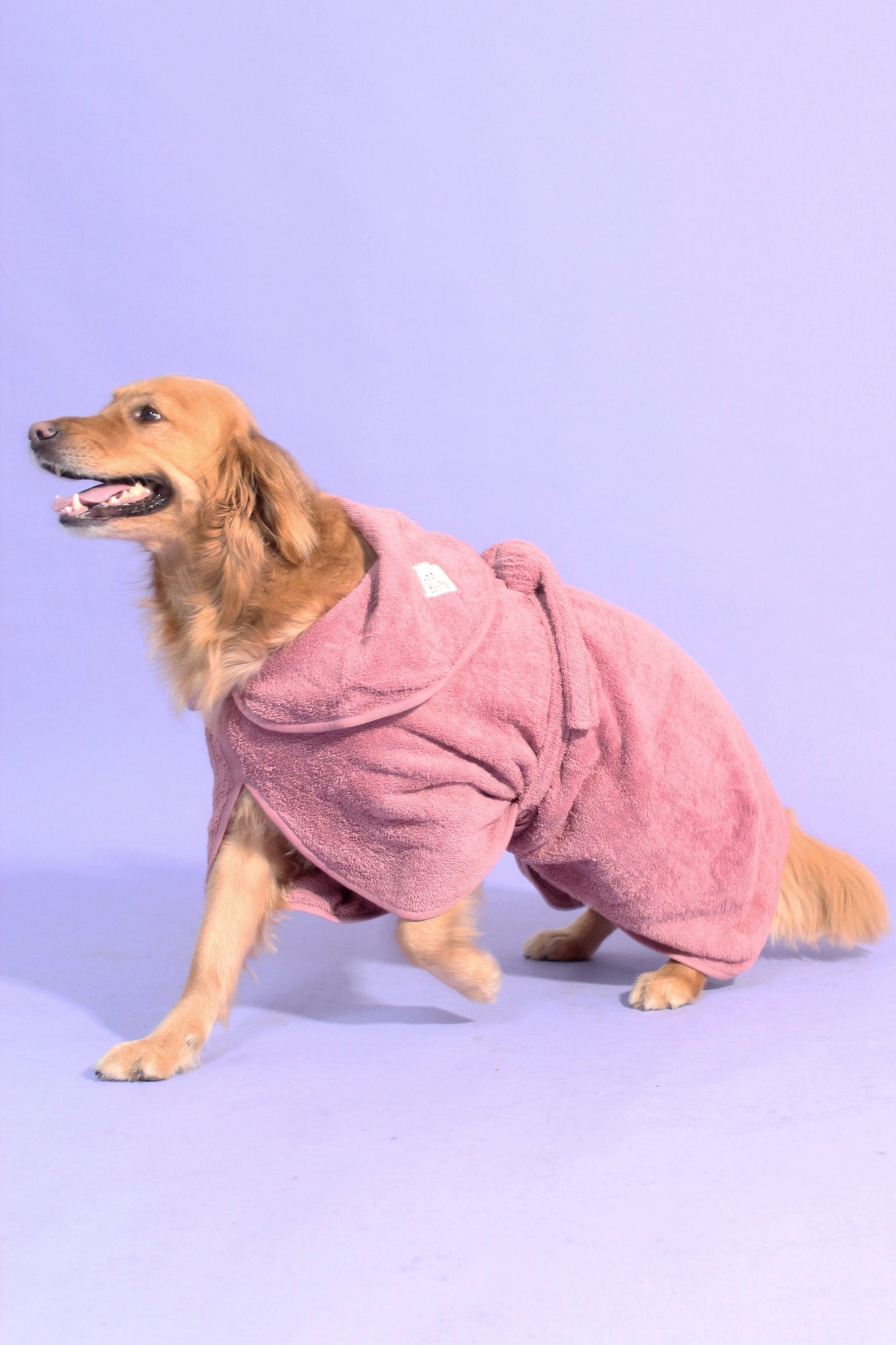Dog Drying Robe