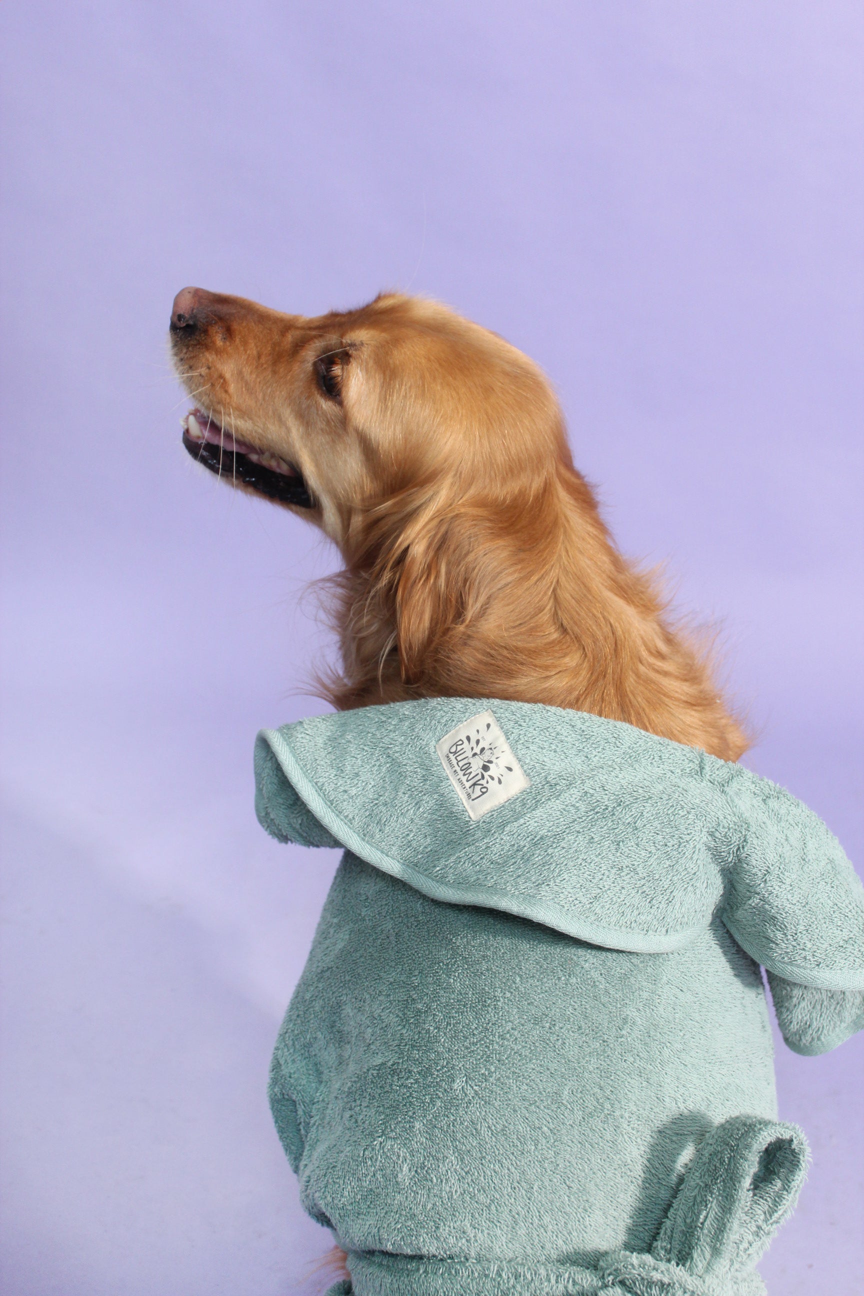 Dog Drying Robe
