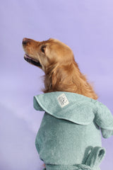 Dog Drying Robe