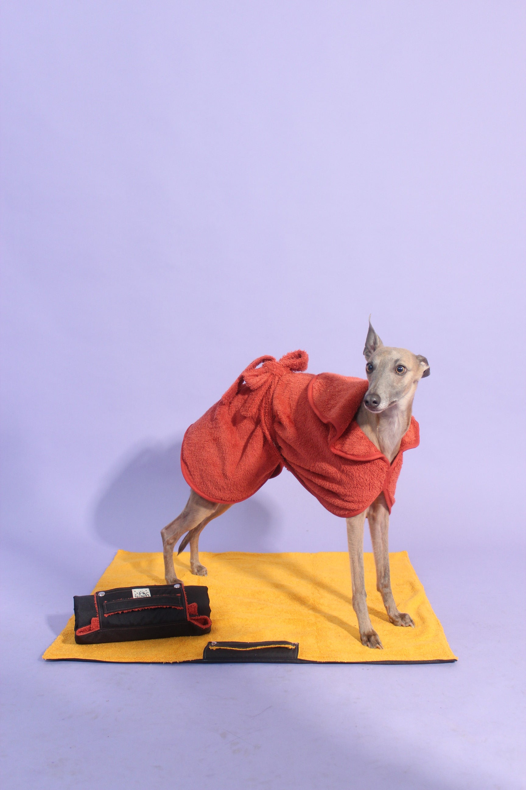 All in One Wet Dog Bundle Deal