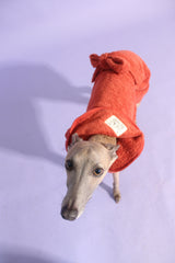 Dog Drying Robe
