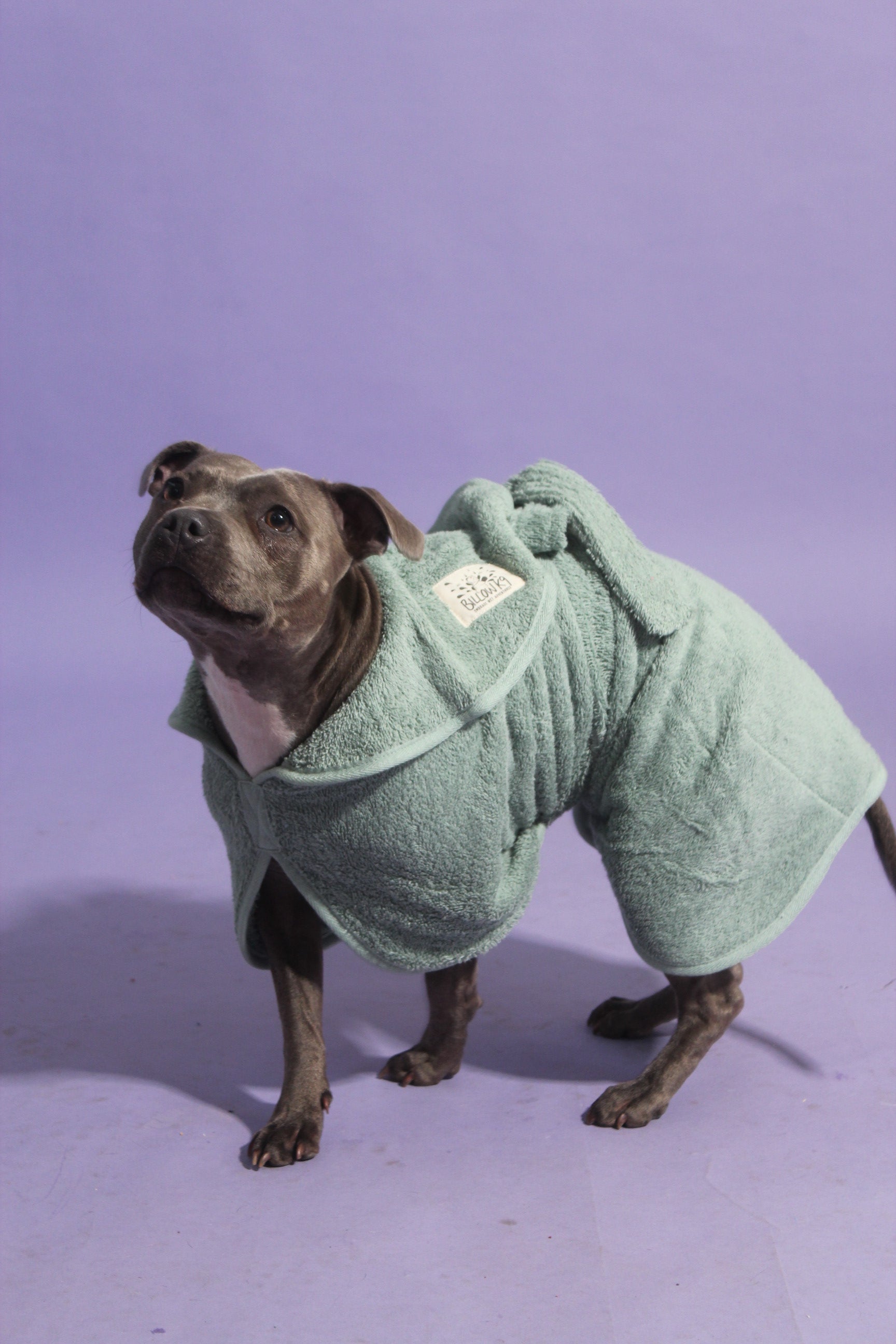 Dog Drying Robe