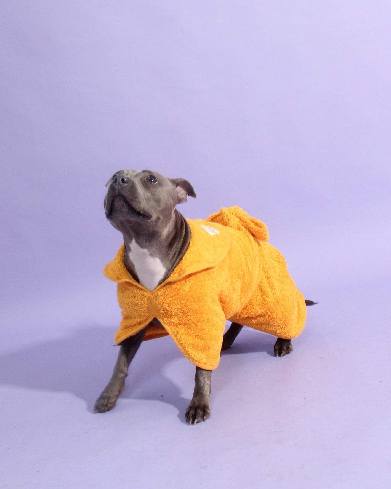 Velco-free Dog Drying Coat